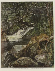 Der Ruheplatz des Leoparden, eine Ecke meines Gartens