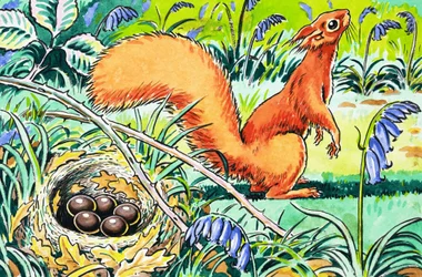 Kleines rotes Eichhörnchen