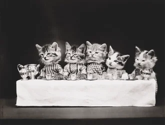 Kitties Serie: Das letzte Abendmahl, um 1914