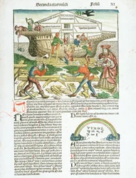 Der Bau der Arche Noah, Beschreibung der Aktivitäten der Schiffbauer