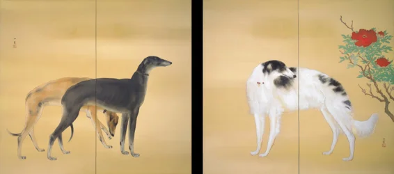 Europäische Hunde