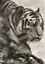 Tiger auf der Jagd