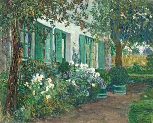 Weiße Phlox