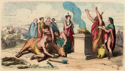 Antikes Griechenland: Ritual der Stieropferung - Griechenland zur Zeit der Könige