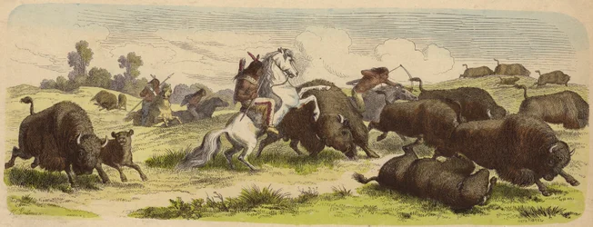 Indianer zu Pferd jagen Büffel (kolorierte Gravur)