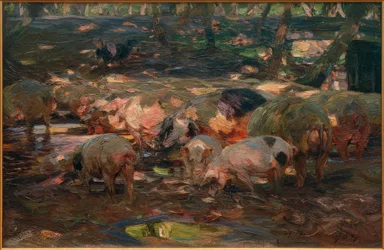 Schweineherde an der Altrheinbrücke