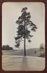 Erster Weltkrieg: die Ukraine in den Jahren 1914-1916 während der Invasion der deutschen Armee. Landschaft mit Schnee (s/w Foto)