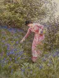 Blaue Glockenblumen sammeln