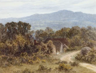 Hindhead von Sandhills, Witley