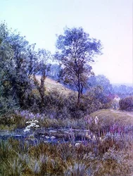 Blumen pflücken am Teich