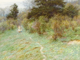 Primeln auf einer Heide in Surrey
