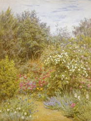 Rosen in einem Garten in Surrey