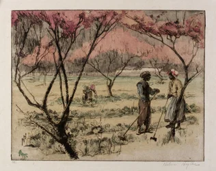 Ein südlicher Frühling