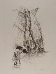 Der Schauer