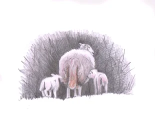 Folgen, 2016