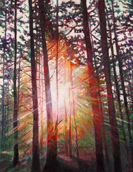 Sonnenstrahl, 2010