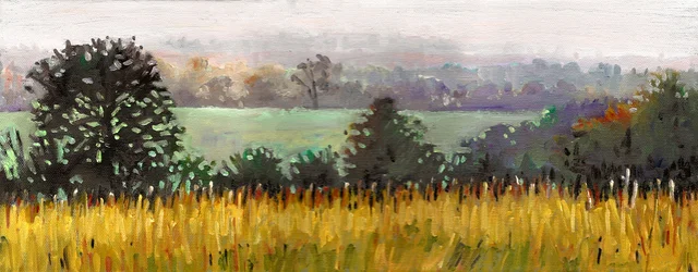 Richtung Grazeley, 2012