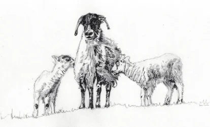 Wir Drei, 2012
