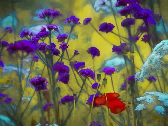 Wildes Herz