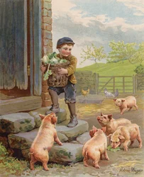 Hungrige Schweine beobachten einen Jungen, der einen Korb mit Rüben auf einem Bauernhof trägt