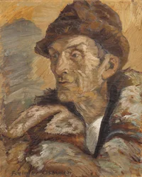 Bauer aus Nordingrå