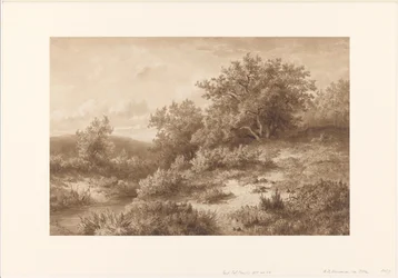 Landschaft mit Bach und Sträuchern