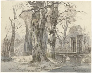 Winterlandschaft mit Tor zwischen Bäumen