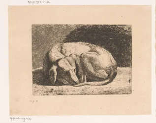Schlafender Hund