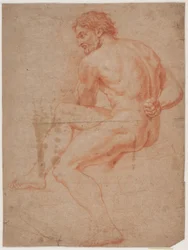 Männliches Modellstudie