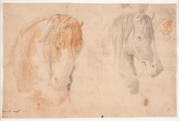 Zwei Pferdeköpfe und ein Männerkopf