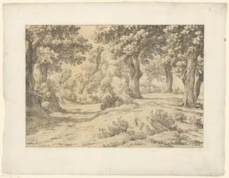Waldansicht