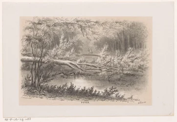 Umgestürzter Baum nach dem Sturm vom 28. Mai 1860