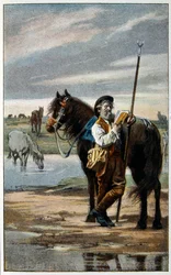 Illustration für 