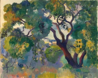 Landschaft bei St. Tropez