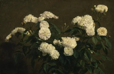 Stillleben mit weißen Rosen