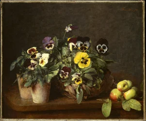 Stillleben mit Stiefmütterchen