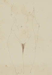 Weiblicher Akt-Torso