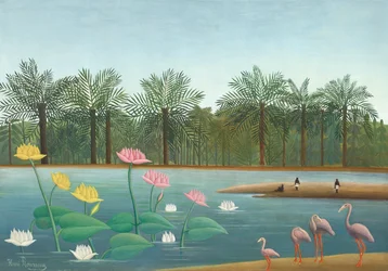 Flamingos