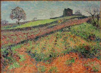 Landschaft