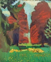 Purpurrote Buche