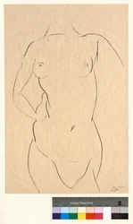 Torso von vorn