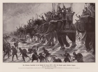 Hannibals Elefanten in der Schlacht von Zama, 202 v. Chr.