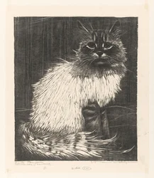 Bunte Angora