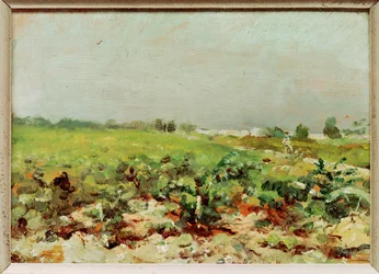 Blick auf die Weinberge