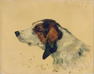 Jagdhund, 1881