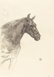 Das alte Pferd