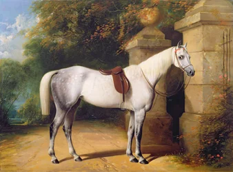 Ein graues Pferd bei Parktoren, 1851