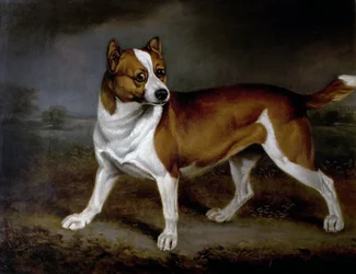 Brennnessel, 1812