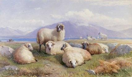 Im Herzen der Highlands