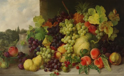 Studie aus der Natur